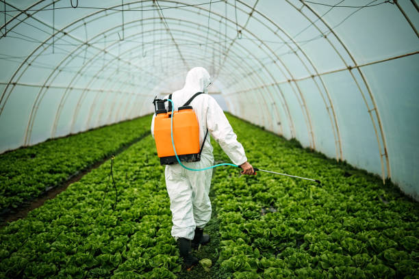 Best Affordable Pest Control Services  in Granville, WV
