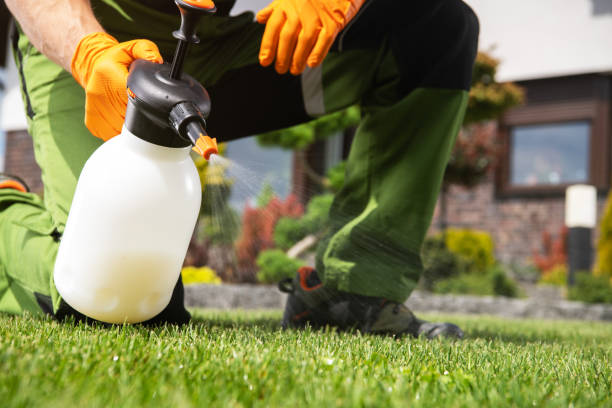 Best Exterminator Services  in Granville, WV