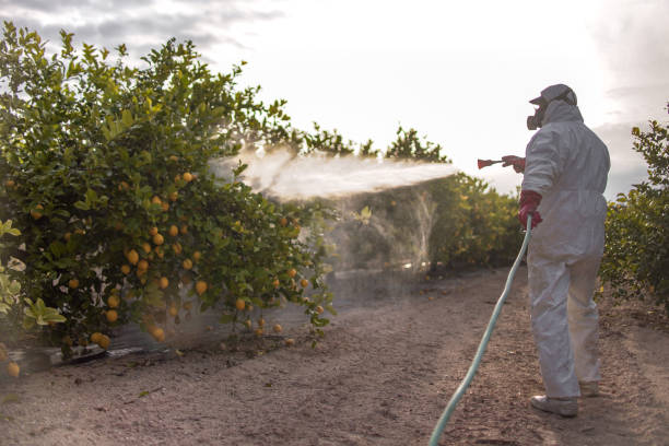 Best Pest Control Near Me in Granville, WV