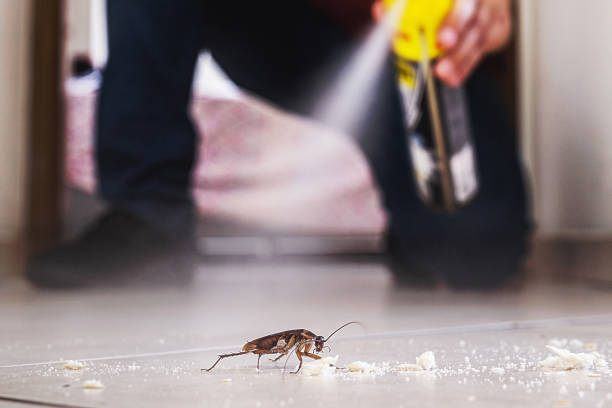 Best Mosquito Control Services  in Granville, WV