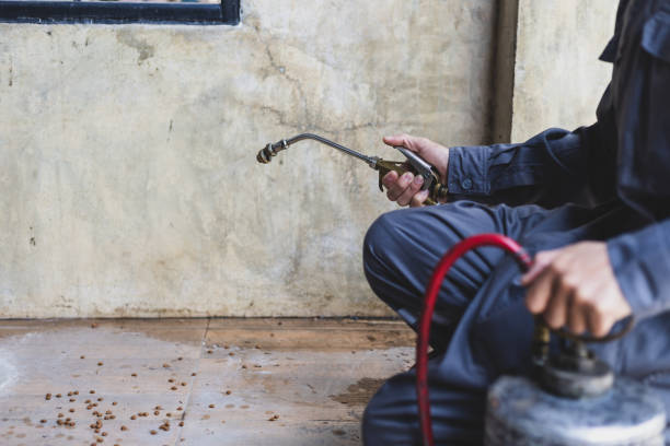 Best Termite Control Services  in Granville, WV